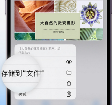 原阳apple维修中心分享iPhone文件应用中存储和找到下载文件