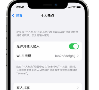 原阳apple服务站点分享iPhone上个人热点丢失了怎么办 