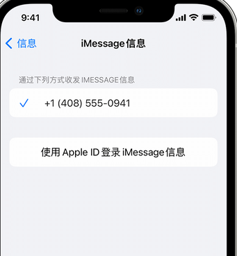 原阳apple维修iPhone上无法正常发送iMessage信息 