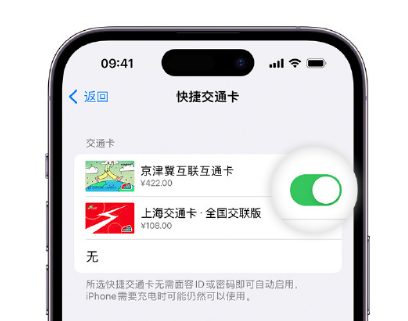 原阳apple维修点分享iPhone上更换Apple Pay快捷交通卡手绘卡面 