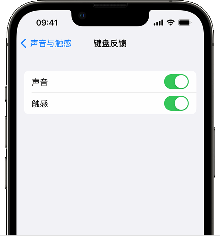 原阳苹果14维修店分享如何在 iPhone 14 机型中使用触感键盘 