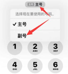 原阳苹果14维修店分享iPhone 14 Pro Max使用副卡打电话的方法 