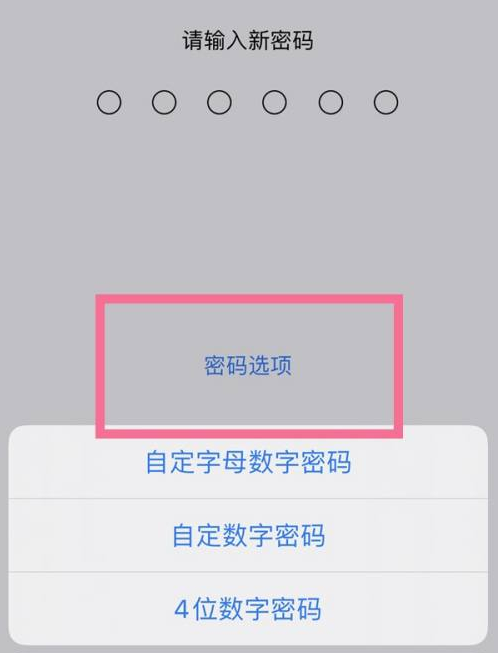 原阳苹果14维修分享iPhone 14plus设置密码的方法 