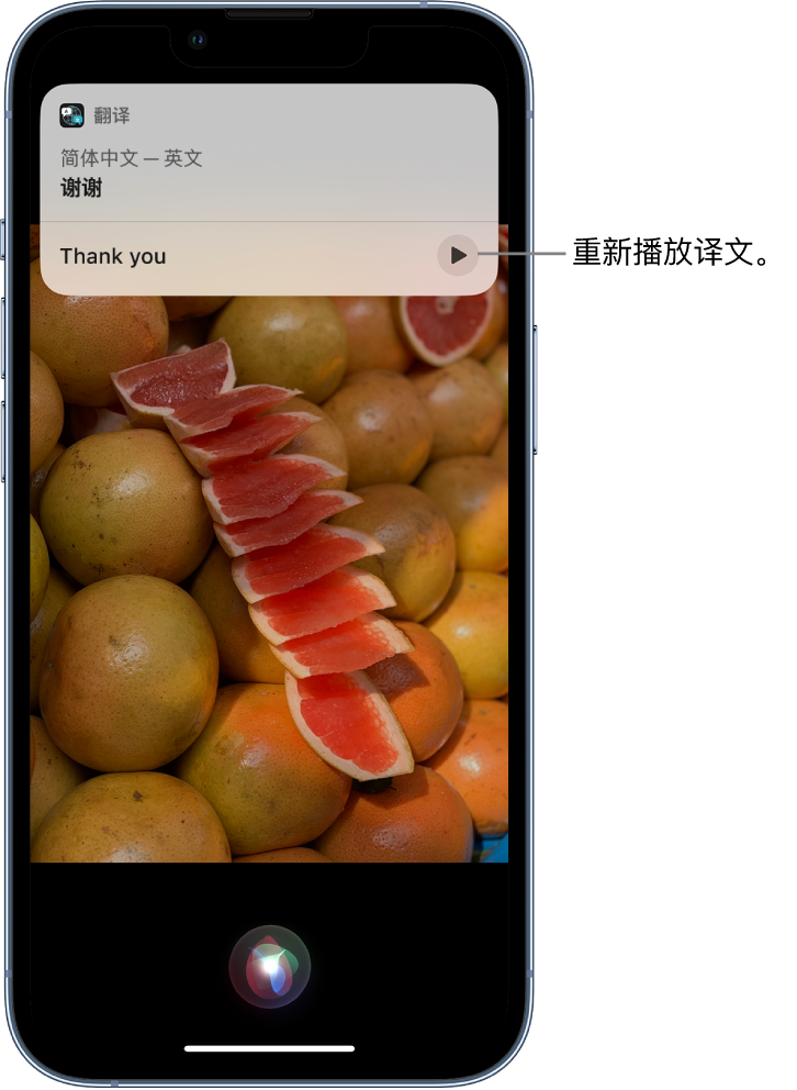 原阳苹果14维修分享 iPhone 14 机型中使用 Siri：了解 Siri 能帮你做什么 