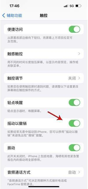 原阳苹果手机维修分享iPhone手机如何设置摇一摇删除文字 